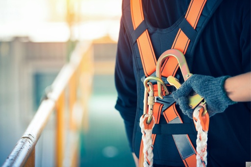 DIPLOMADO GESTION DE LA SEGURIDAD Y SALUD EN EL TRABAJO (ISO 45001)